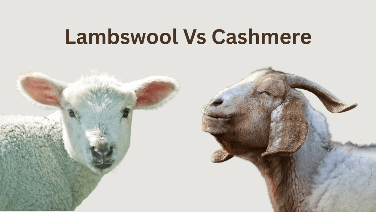 Lambswool or Cashmere? How to Choose Your Lona Scott Scarf - LonaScott