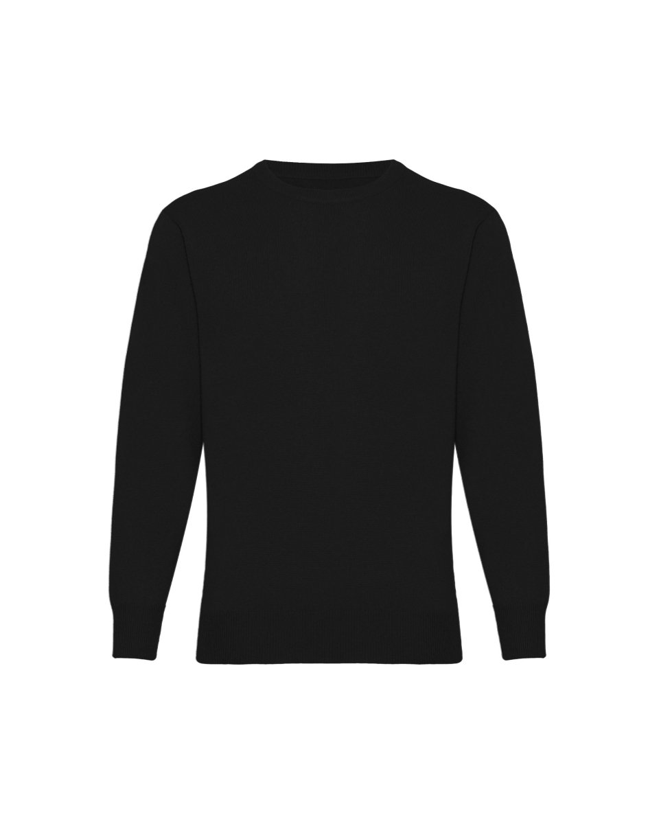 Men's Cashmere Round Neck Jumper - LonaScott