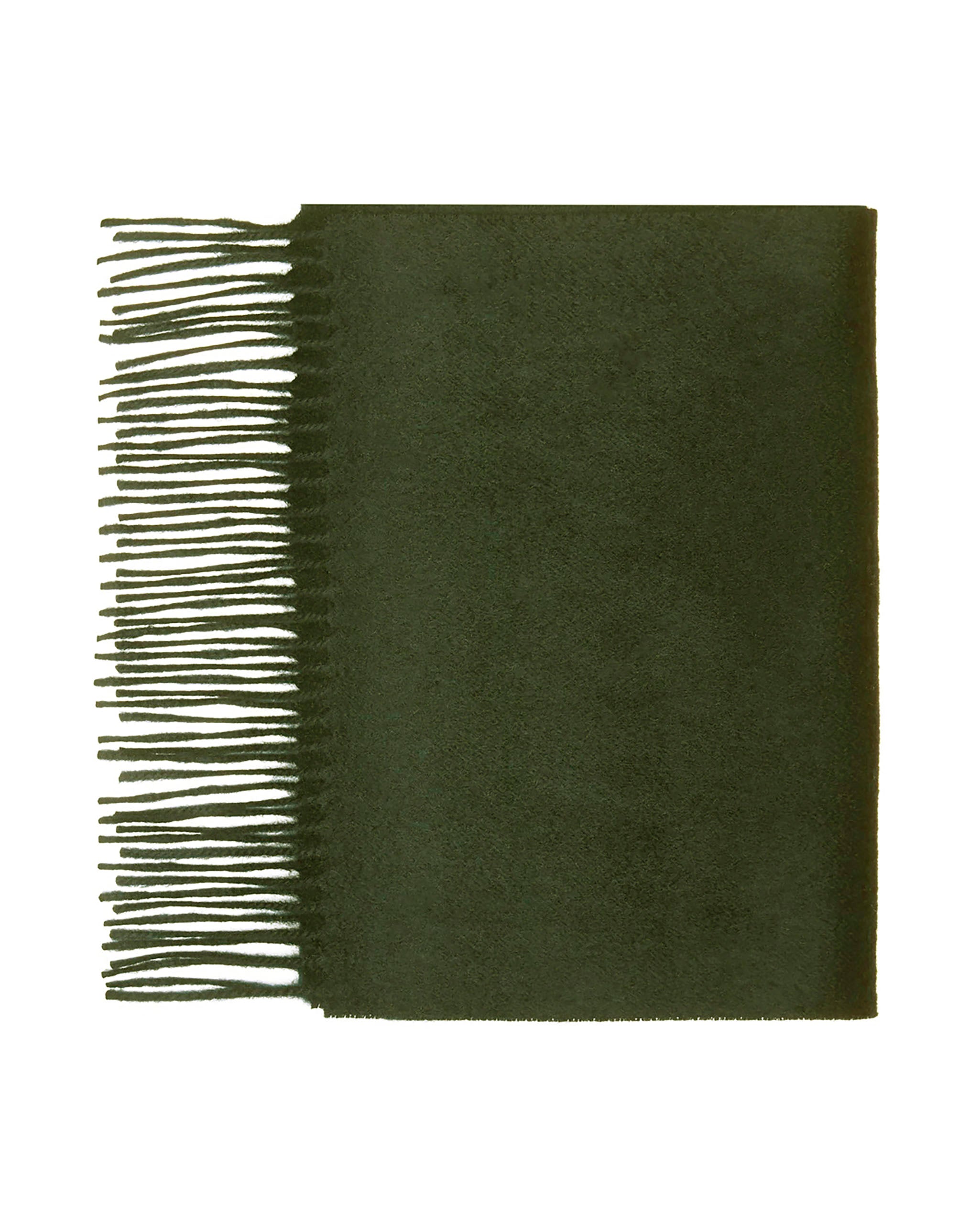 Pure Cashmere Plain Scarf
